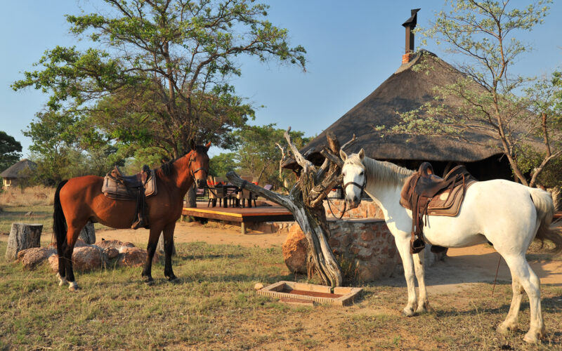 Kwafubesi Tented Camp horseback safari