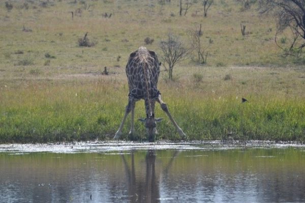 Mabula-News-May-02