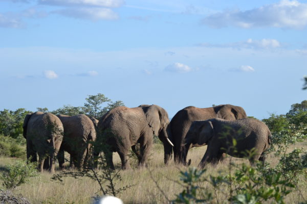 Mabula-News-May-19