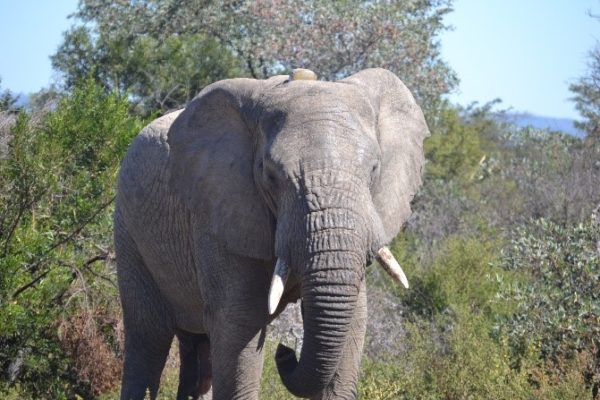 Mabula-News-May-27