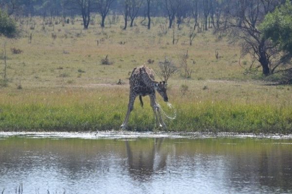 Mabula-News-May-28