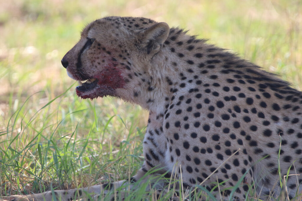 Kwafubesi Guide News December 2024-10