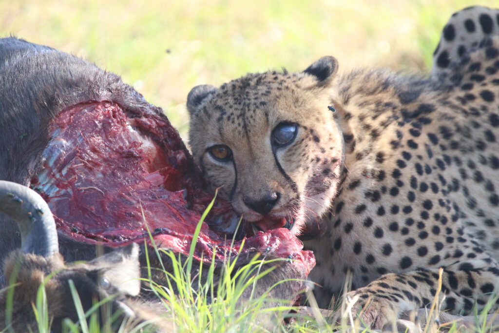 Kwafubesi Guide News December 2024-11