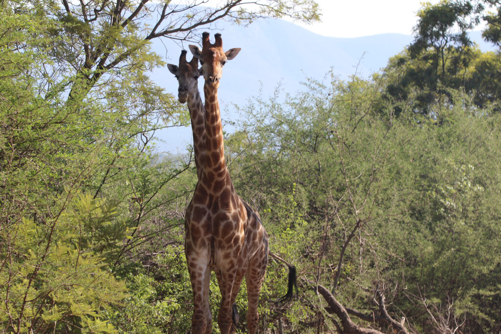 Kwafubesi Guide News December 2024-38