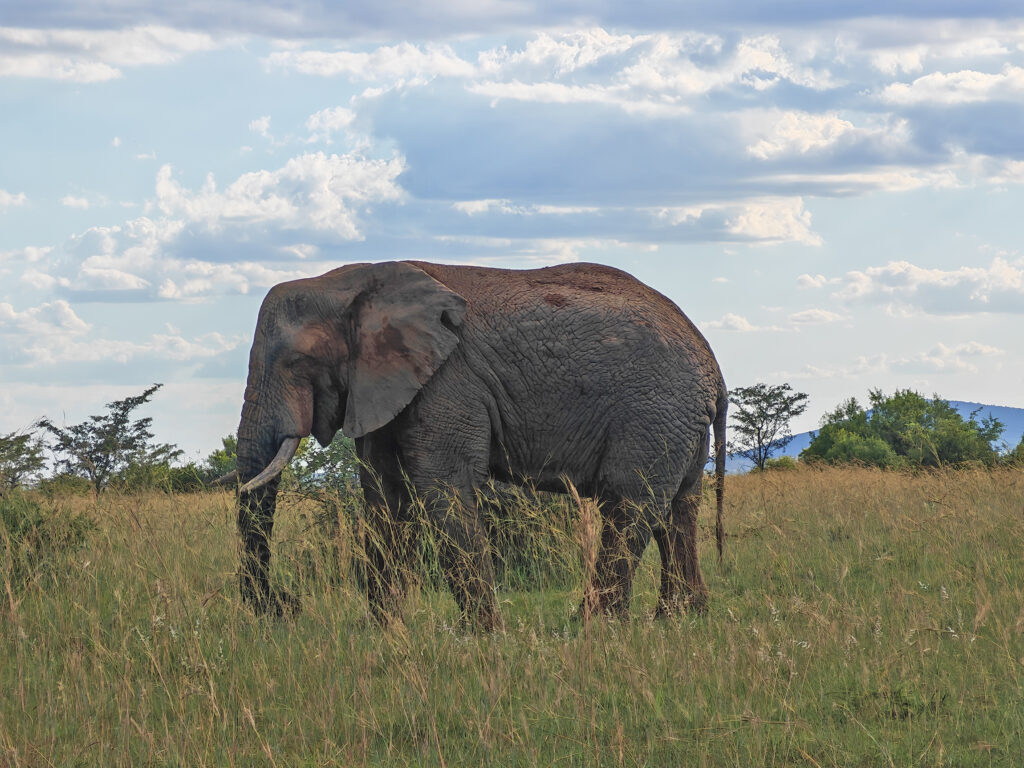 Kwafubesi Guide News Jan 2026 05