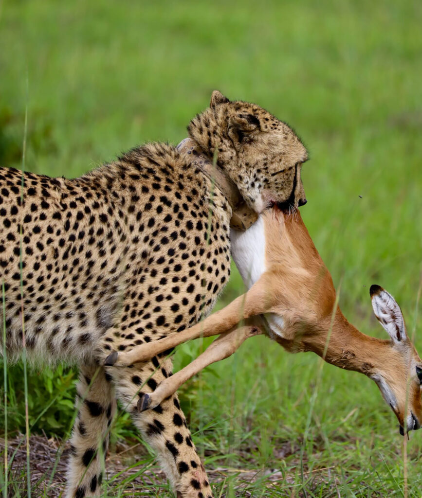 Kwafubesi Guide News Jan 2026 13