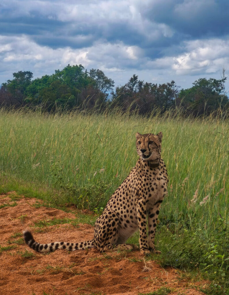 Kwafubesi Guide News Jan 2026 14