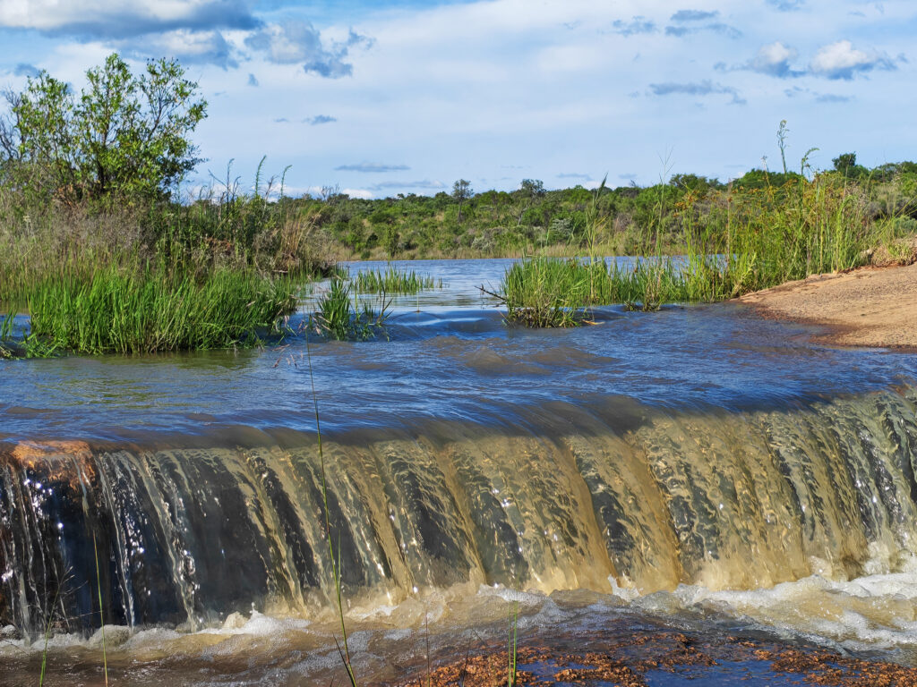 Kwafubesi Guide News Jan 2026 24
