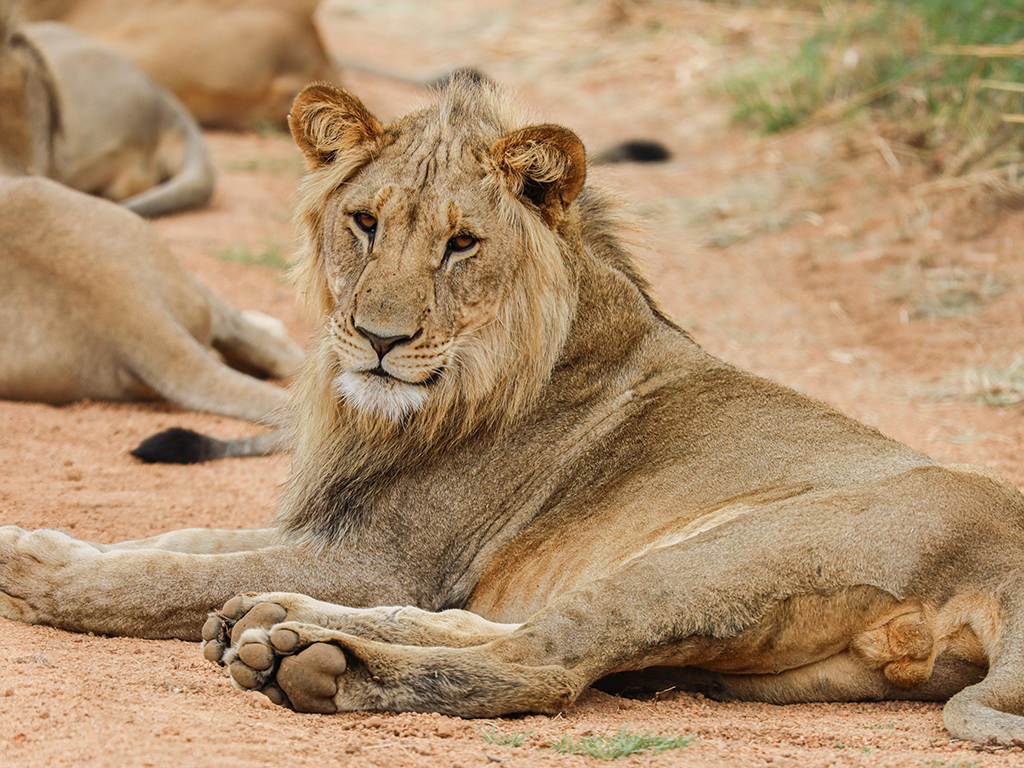 Kwafubesi Guide News March 47 Kwafubesi Guide News March 47