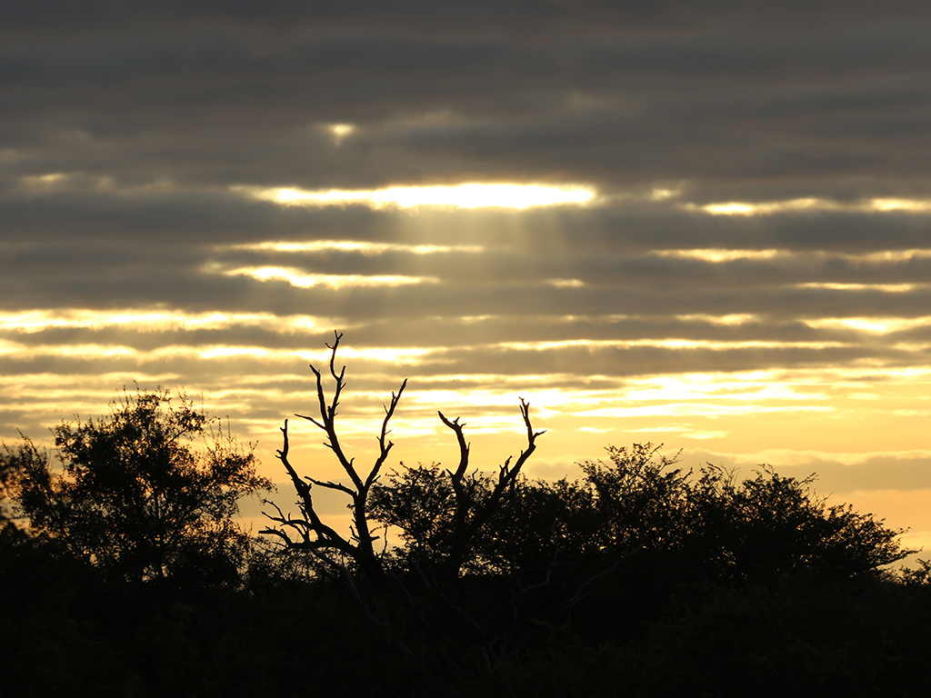 Kwafubesi Guide News March 73 Kwafubesi Guide News March 73